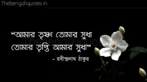 আমার তৃষ্ণা তোমার সুধা রবীন্দ্রনাথ বাণী Tagore quotes in Bengali tomar Trishna amar sudha
